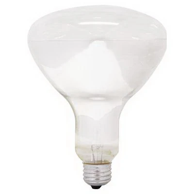 Quartzline R40 Incandescent Reflector Lamp 250 Watt 120 Volt Medium Screw E26 Base