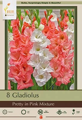 Gladiolus Large Flowering Pretty In Pink Mixture Bulbs - 48-60 Inches Tall