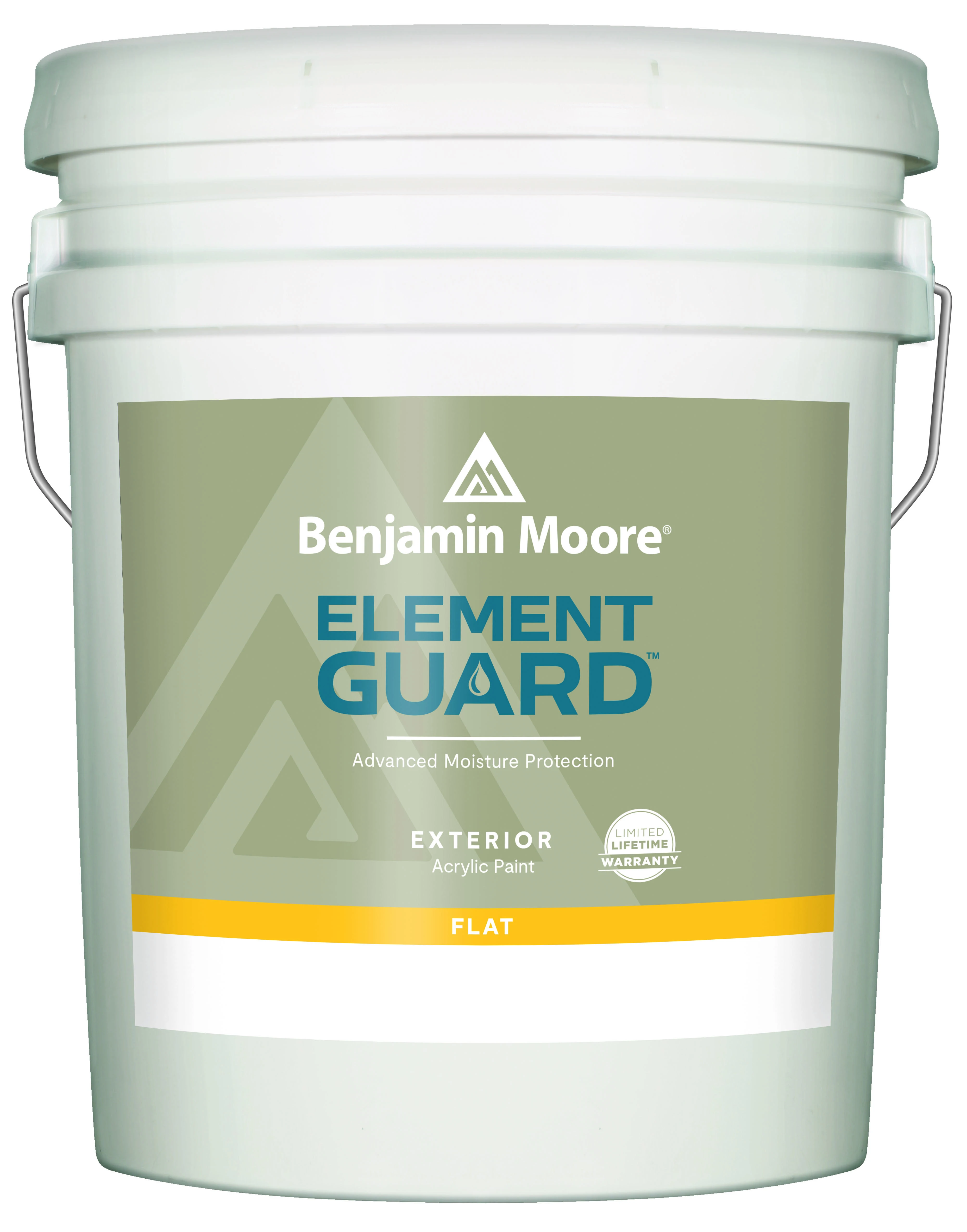 Element Guard Exterior Paint, Flat Finish, 5 Gallon, Model 07632x-005