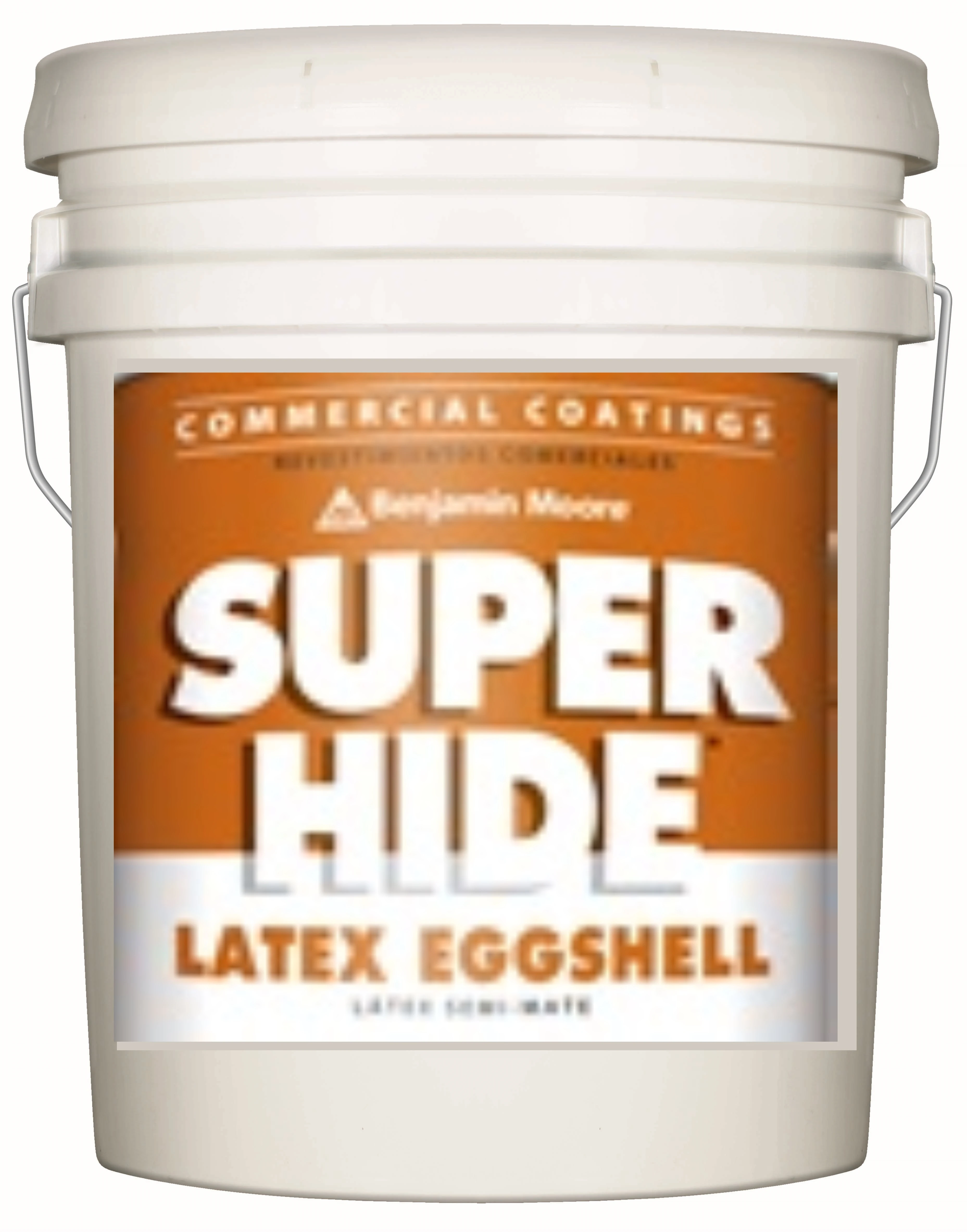 Interior Latex Paint Eggshell Finish - 1 Gallon