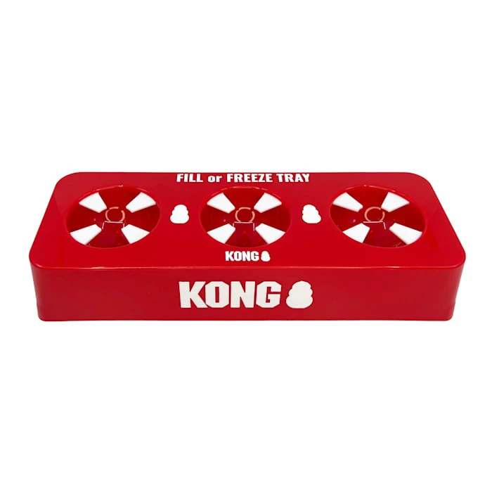 Fill Or Freeze Tray Dog Toy, Large, Red - Durable Interactive Pet Toy