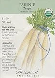 Organic Turga Parsnip Seeds - 500 Mg - Non-gmo Heirloom Variety