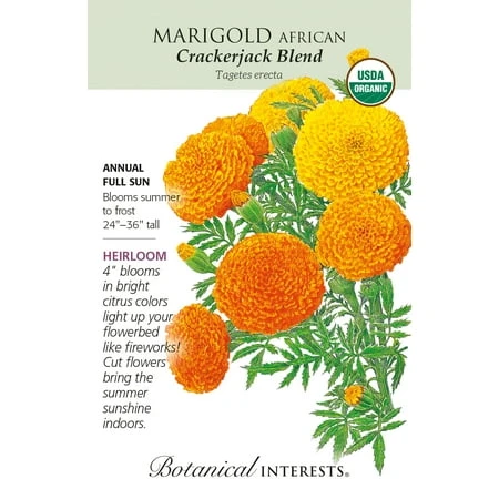 Organic Crackerjack African Marigold Seeds - Heirloom Variety - 500 Milligrams