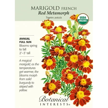 Organic Red Metamorph French Marigold Seeds - 150 Milligrams For Vibrant Gardens