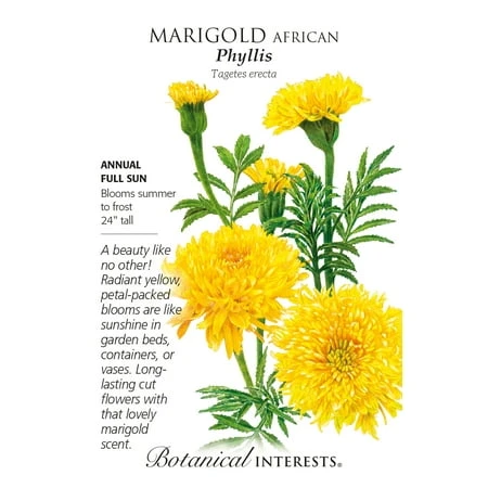 African Marigold Seeds - 100 Milligrams For Vibrant Gardens