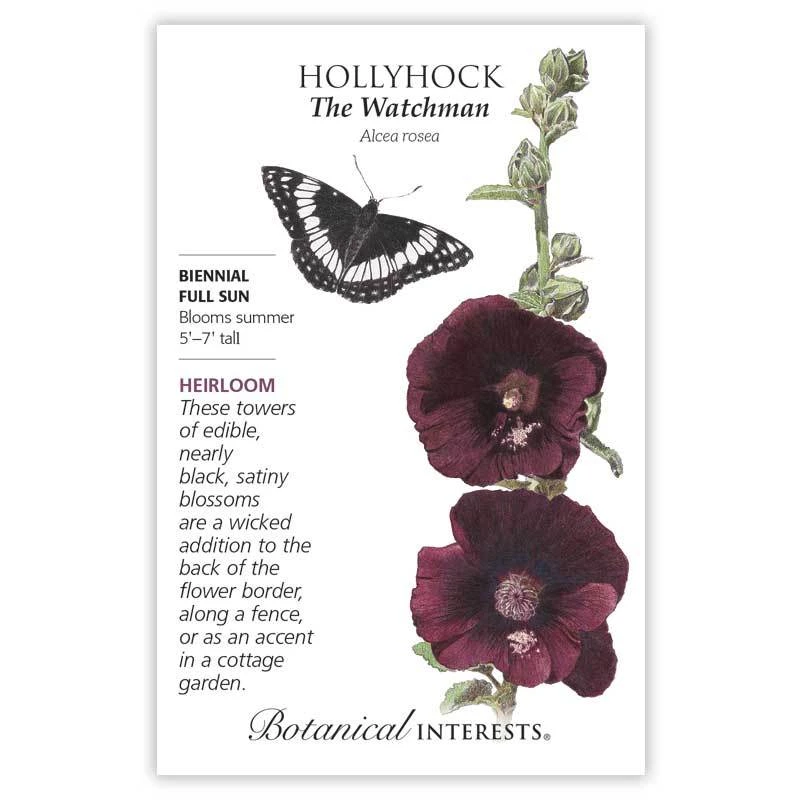 The Watchman Hollyhock Seeds - 400 Mg - Alcea - Rich Burgundy Color