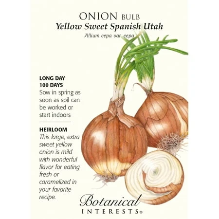 Yellow Sweet Spanish Utah Onion Seeds - 750 Milligrams For Home Gardening