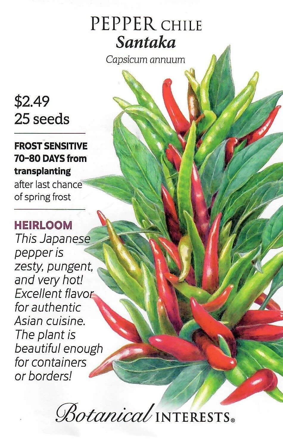 Pepper Chile Santaka Heirloom Vegetable Seeds - Botanical Interests 12/22