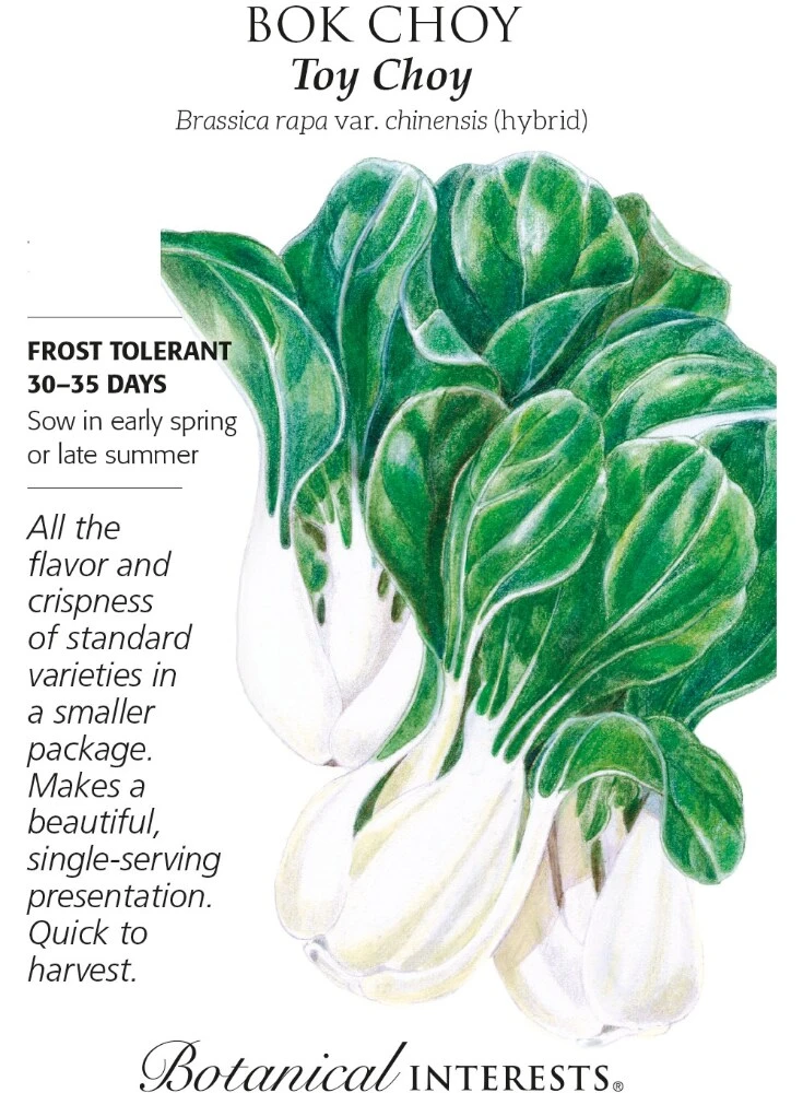 Bok Choy Toy Choy Vegetable Seeds - Botanical Interests 12/23
