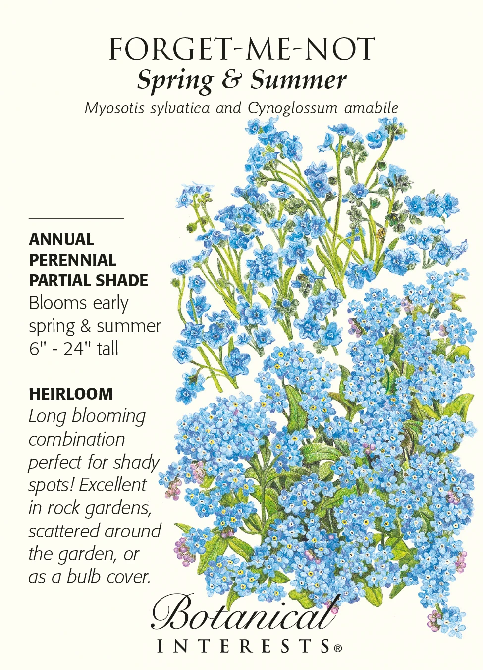 Forget-me-not Spring And Summer Flower Seeds - 100% Non-gmo, 500 Seeds