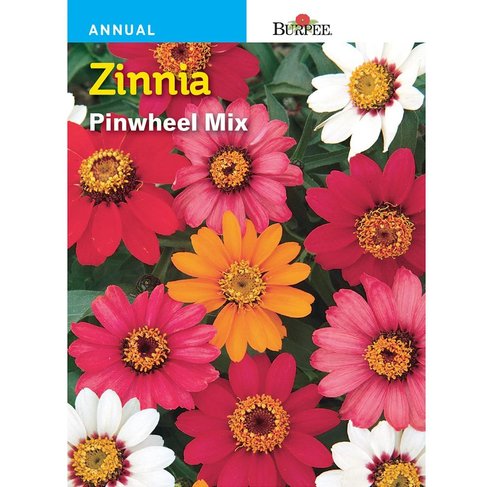 BURPEE - ZINNIA - PINWHEEL MIX