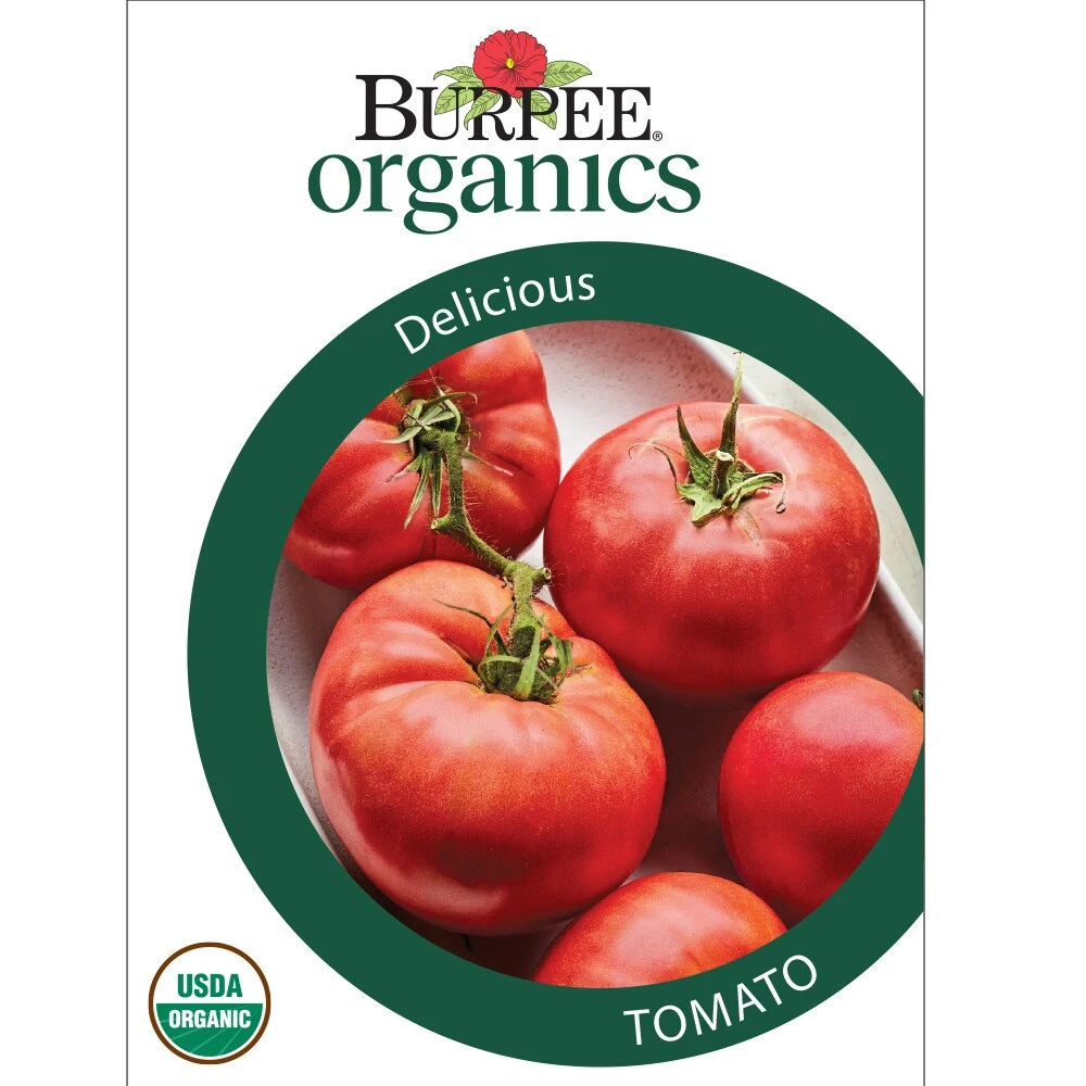 Organic Delicious Tomato Seeds - Heirloom Variety For Home Gardening