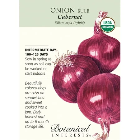 Organic Cabernet Onion Seeds - 250 Milligrams For Home Gardening