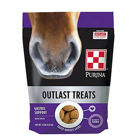 Outlast Horse Treats, 3.5 Pound Bag, Nutritious Equine Snack