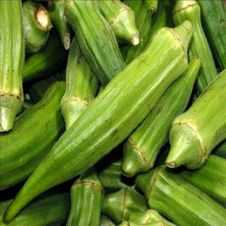 Dwarf Long Pod Green Okra Seed - 5 Grams For Home Gardening