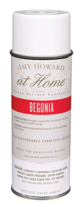 Gloss High Performance Furniture Lacquer Spray 12 Oz. Begonia