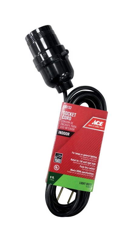 CORD W/SCKT 9'