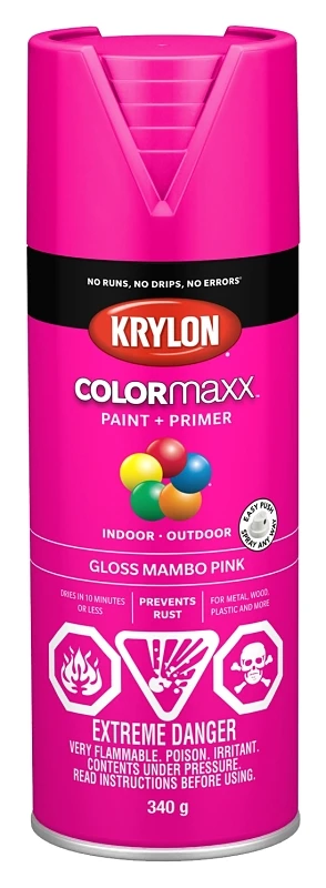 Mambo Pink Gloss Enamel Spray Paint 12 Ounce Can