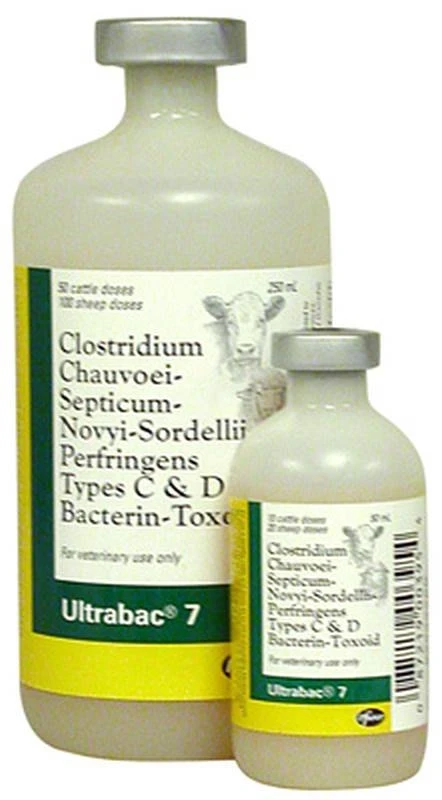 ULTRABAC 7 10DS