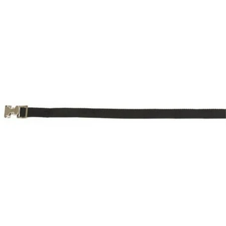 F14062 Lashing Strap Tie-down With Pinch Buckle - 2 Inch X 6 Feet