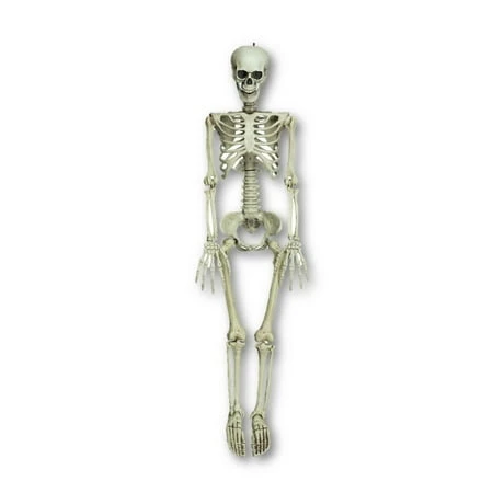 36" Realistic Skeleton