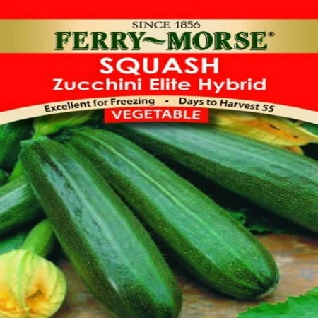 Zucchini Elite Seed Packet - High Germination Rate, Non-gmo, 2 Grams