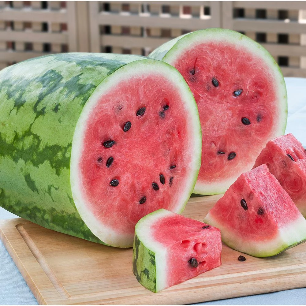 606 Watermelon-jubilee Pack By Bonnie Plants - Model 4102