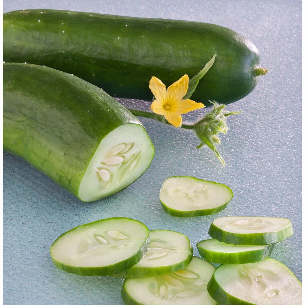 4.5 Inch Cucumber-burpless Bush Hybrid Plant - Bonnie Plants Model 4201
