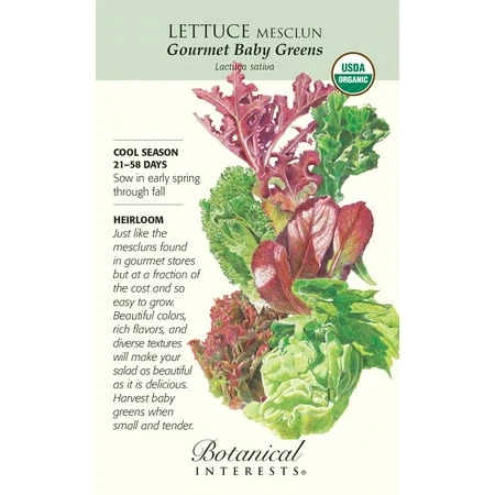 Mesclun Gourmet Baby Greens Lettuce Seeds - 4 Grams - Organic - Botanical Interests