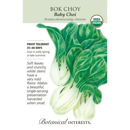 Baby Choi Bok Choy Seeds - 700 Milligrams For Home Gardening