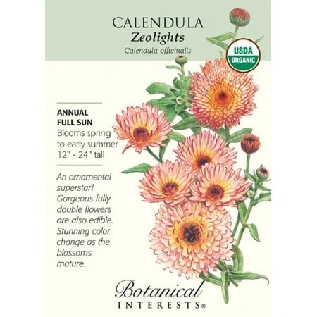 Calendula Seeds - 400 Mg For Gardening Enthusiasts