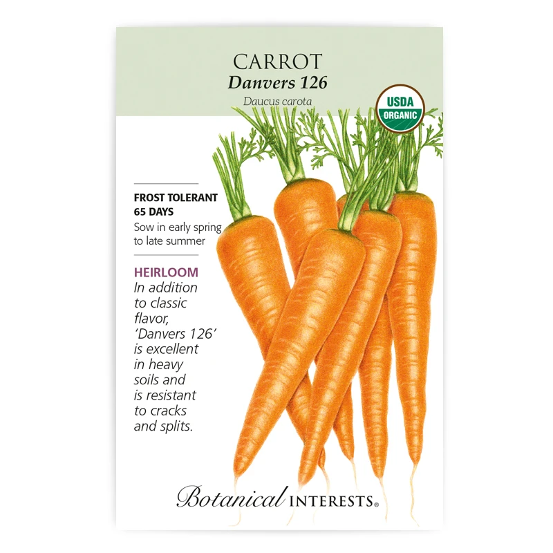 126 Organic Carrot Seeds - 1 Gram - Sweet And Resistant Variety