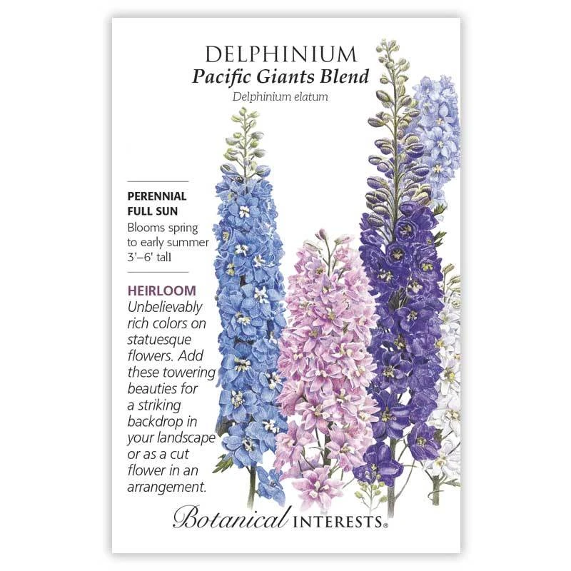 Delphinium Seeds - Heirloom Blend - 0.25 Grams