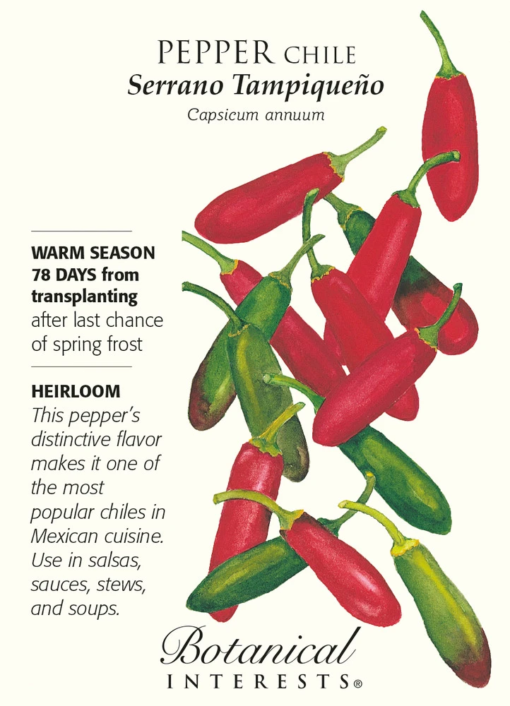 Pepper Chile Serrano Heirloom Vegetable Seeds - Botanical Interests 12/23