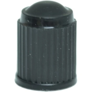 6-5544 Plastic Valve Cap - 5 Pack