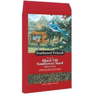 Black Sunflower Bird Seeds, 40-pound Bag For Wild Birds