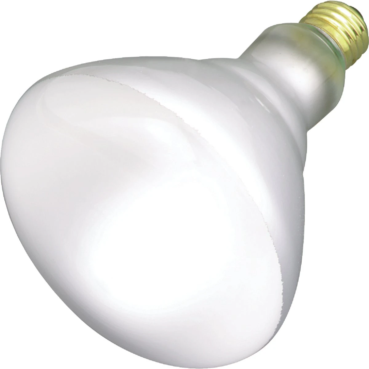 Br40 Incandescent Floodlight Light Bulb - Model S2853