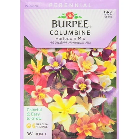 Columbine Harlequin Mix Flower Seeds Packet - Vibrant Perennial Blooms
