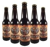 Salted Rootbeer Soda 12 Bottles - Unique Flavor Experience
