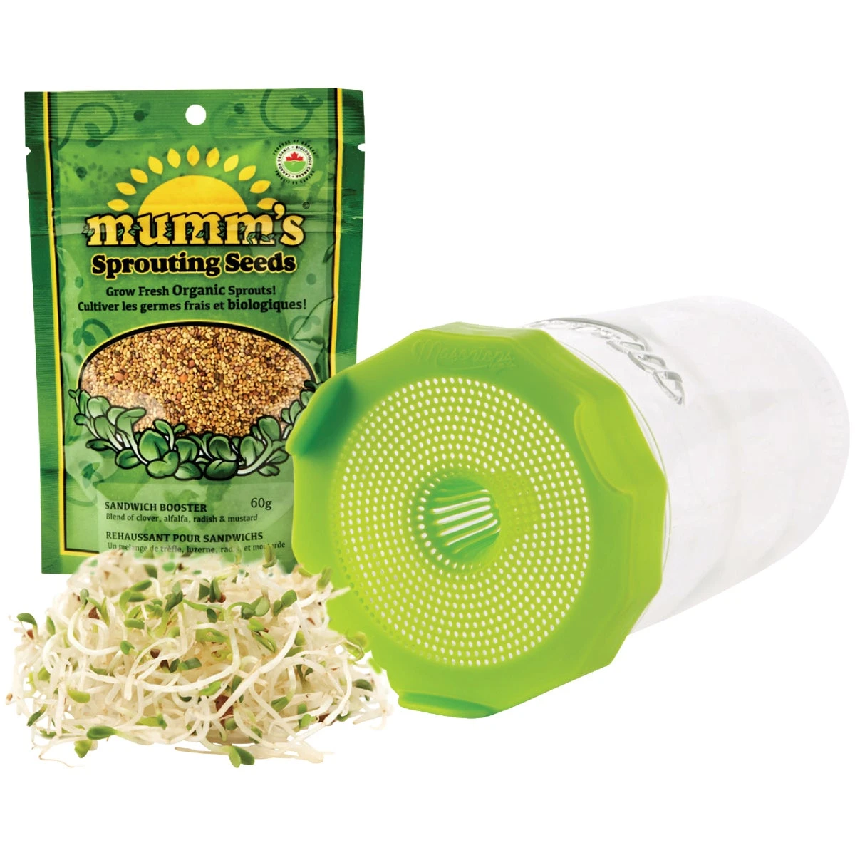 Wide Mouth Single Mason Jar Sprouting Kit With Organic Seeds And Bean Screen Lid