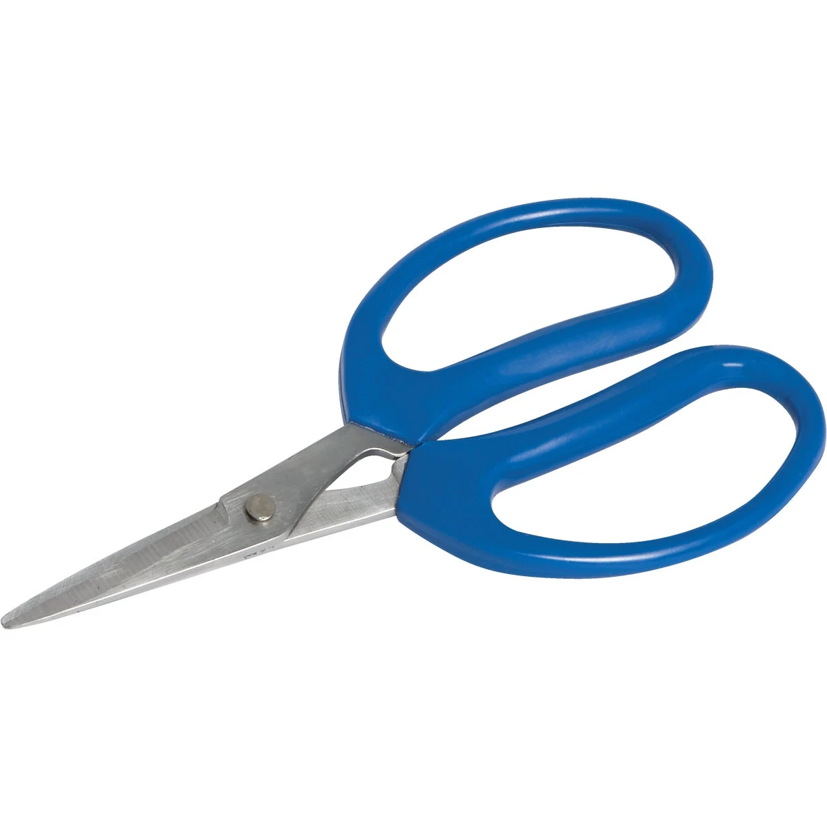 6 Inch Flower Garden Scissor With Stainless Steel Blades And Pvc Handle