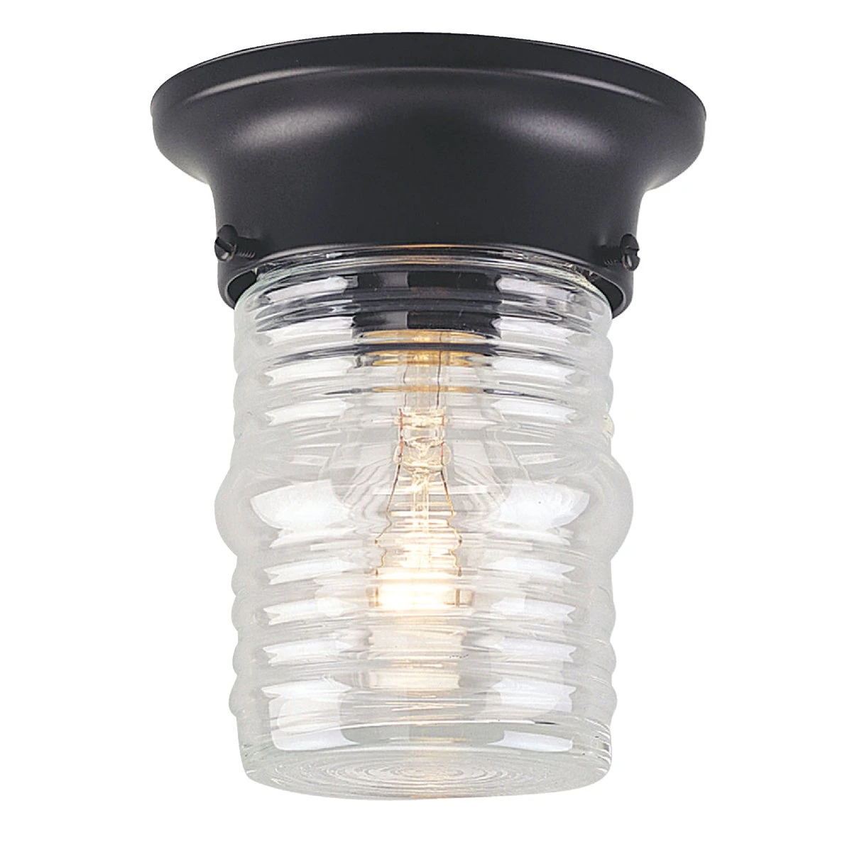 60w Incandescent Outdoor Ceiling Light Fixture - Aluminum Diecast, Black
