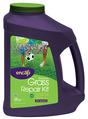 Grass Seed Repair Kit For Lawns, Covers 160 Square Feet, Model 11041-6