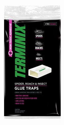 Spider, Roach & Insect Trap, 4-Pk.