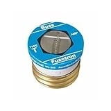 10A TYPE T FUSE