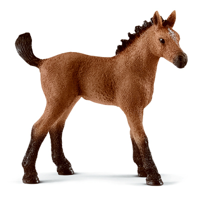 Quarter Horse Foal Model 13854 - Realistic Toy Horse Figurine
