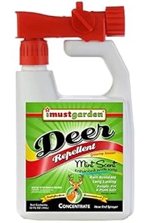 Qt HE Deer Mint All Season