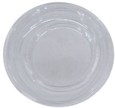 20 Count 10 Inch Clear Plastic Plates - Durable And Disposable Dinnerware