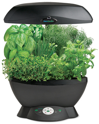 AeroGarden 6 Indoor Garden, Soil Free