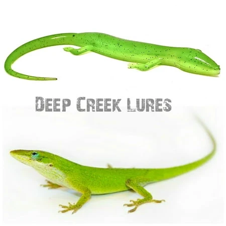 DC 6" SLICK TAIL LIZARD GREEN ANOLE
